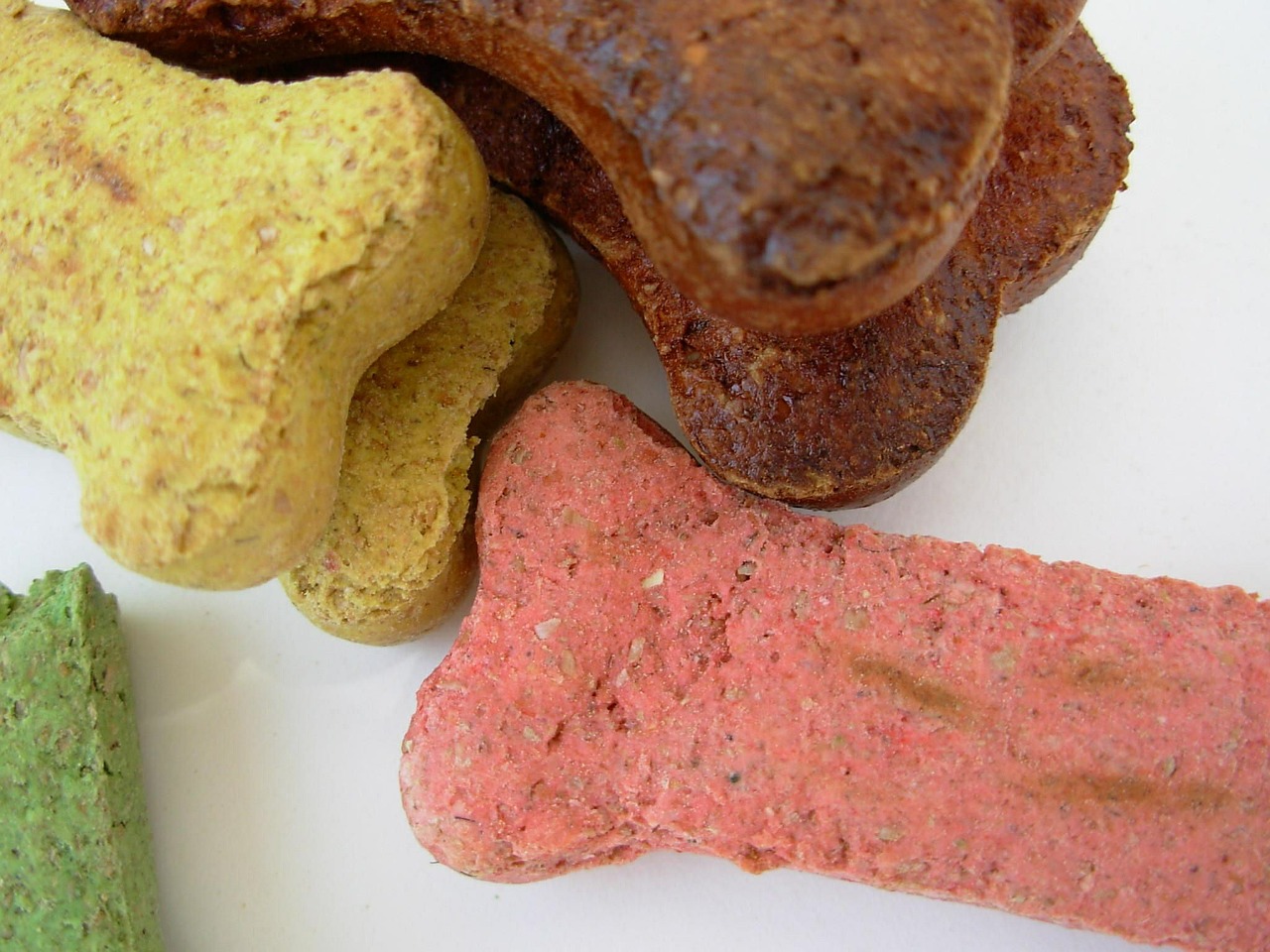 dog biscuits