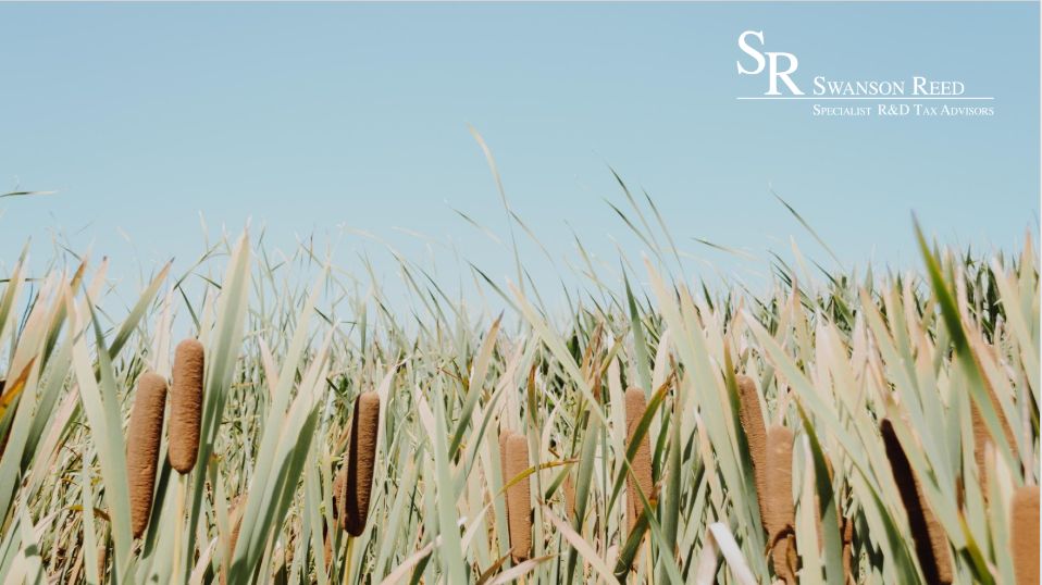 Utah Patent of the Month - August 2021