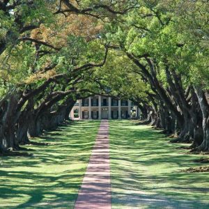 Oregon Patent of the Month - July 2022