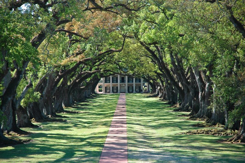 Oregon Patent of the Month - July 2022